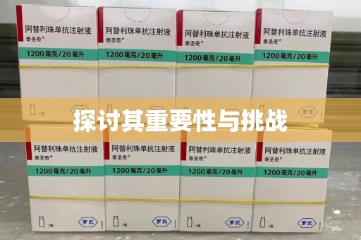 绵阳探讨其重要性与挑战