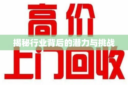 绵阳揭秘行业背后的潜力与挑战