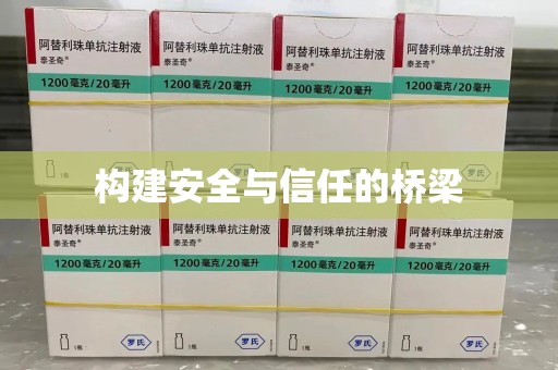 绵阳构建安全与信任的桥梁