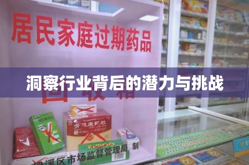 绵阳洞察行业背后的潜力与挑战