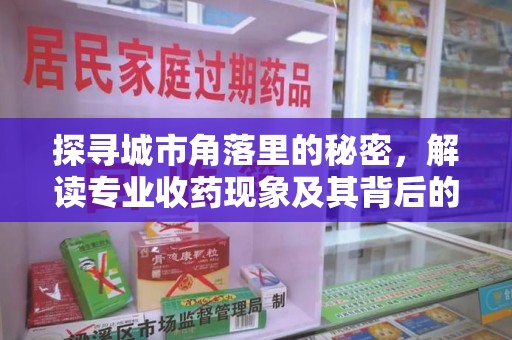 绵阳探寻城市角落里的秘密，解读专业收药现象及其背后的故事